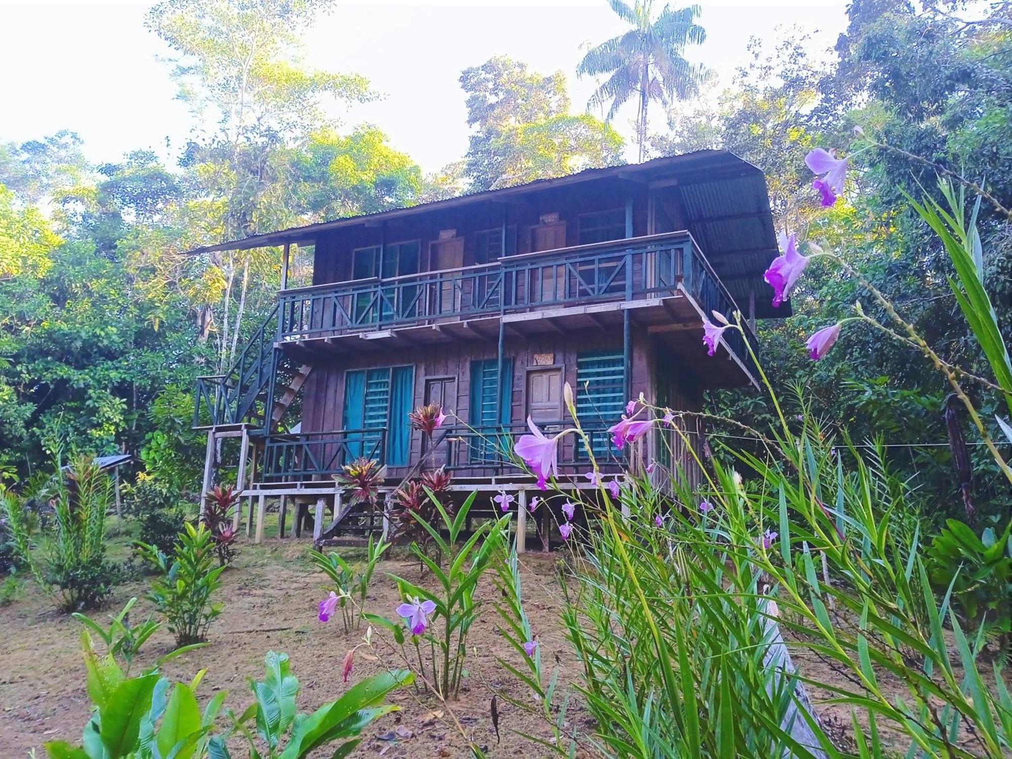 Cabanas Eco Logicas Mu'Ue Loreto Mocagua Exteriér fotografie