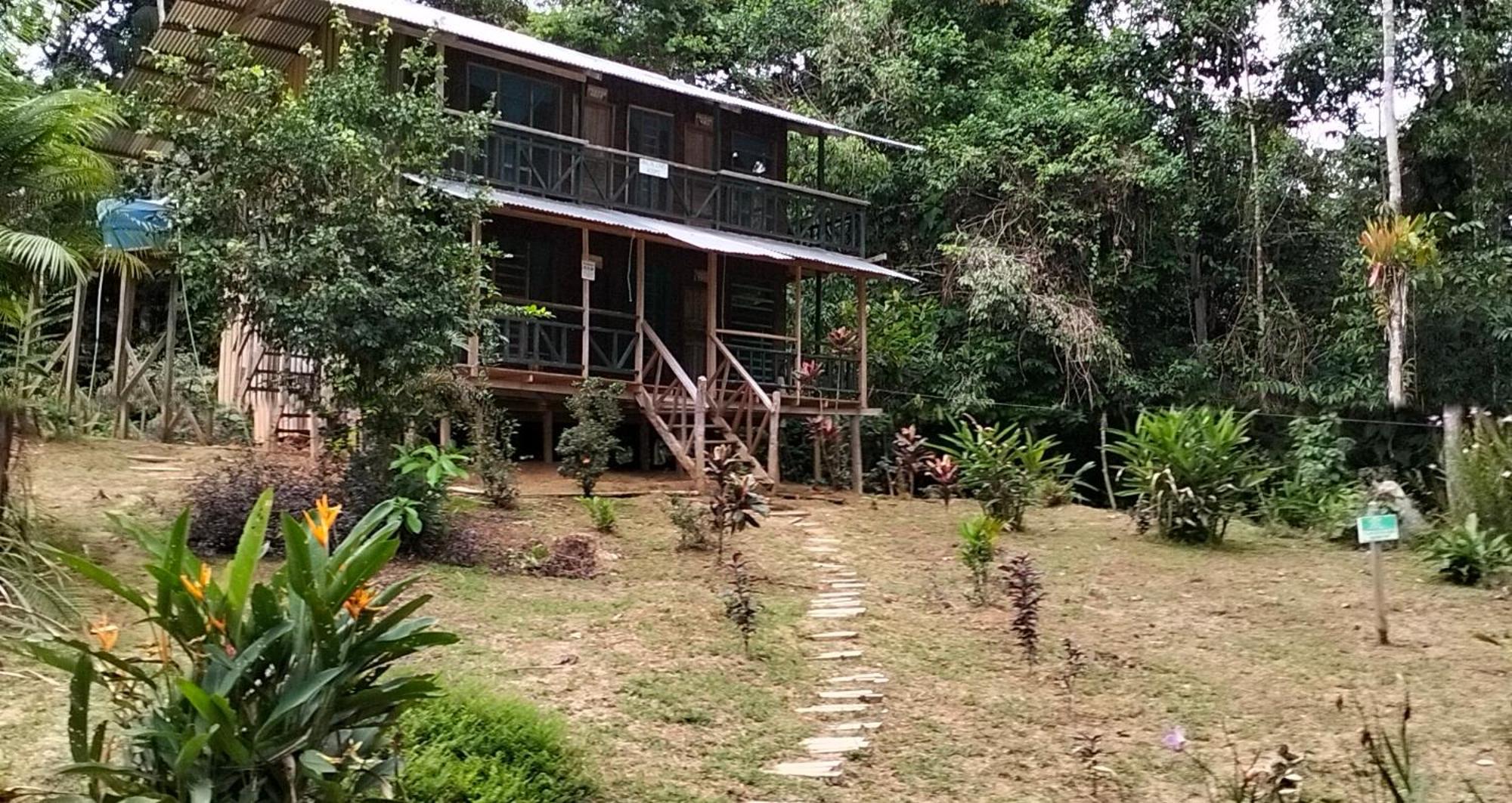 Cabanas Eco Logicas Mu'Ue Loreto Mocagua Exteriér fotografie